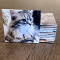 2.5x2.5 square magnet 6
